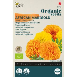 Organic Tagetes, Afrikaan Sunset Giants gem. (BIO)