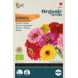 Organic Zinnia dubbele Dahliabloemige mix (BIO)