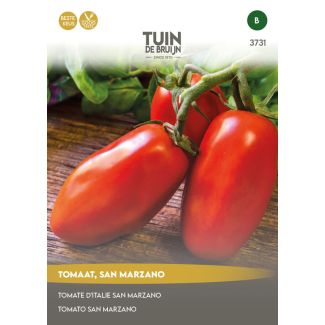 Tomaat San Marzano kopen