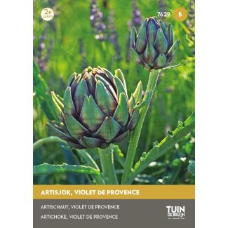 Artisjok, violet de Provence | Tuin de Bruijn