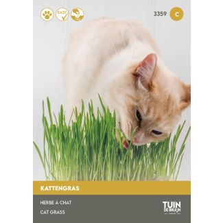 Kattengras zaden
