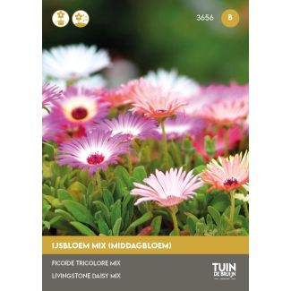 Ijsbloem mix kopen
