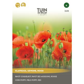 Klaproos żaden van Tuin de Bruijn