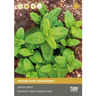 Groene munt zaden van Tuin de Bruijn
