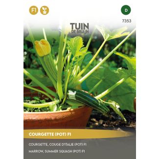 Courgette zaden om in grote potten te telen