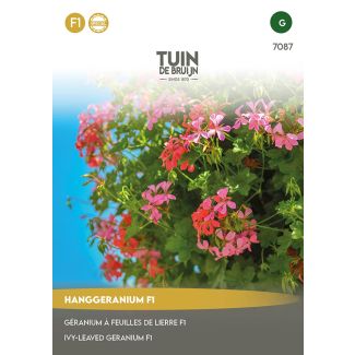 Hanggeranium F1 zaden
