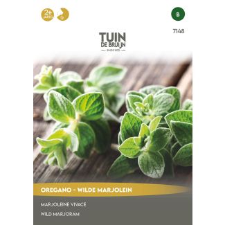 Oregano zaden