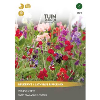 Geurende reukerwt bloemen