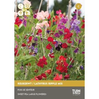 Geurende reukerwt bloemen