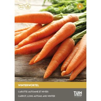 Winterwortel zaden kopen