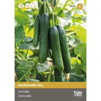 Komkommer Lina | Tuin de Bruijn