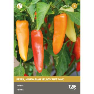 Peper Hungarian yellow hot wax | Tuin de Bruijn