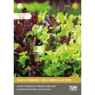 Pluksla gemengd - Red & Green Salad bowl - Zaadlint | Tuin de Bruijn