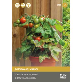Tomaat zaden van Tuin de Bruijn