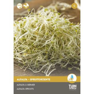 Alfalfa Spruitgroente