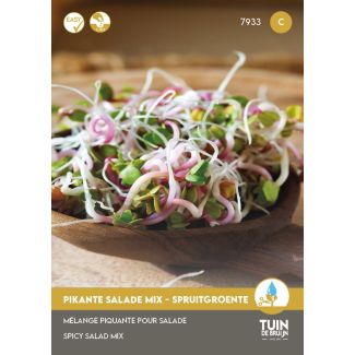 Pikante salade mix spruitgroente