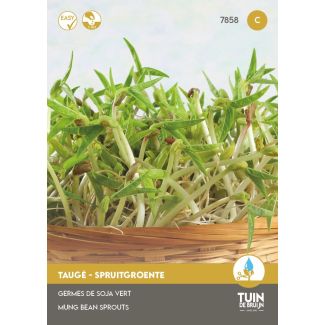 Tauge spruitgroente