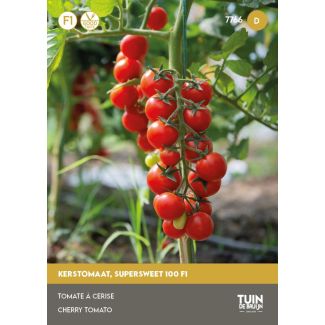 Tomaat Supersweet 100 F1 - kerstomaat| Tuin de Bruijn