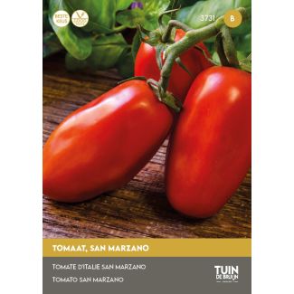 Tomaat San Marzano kopen