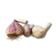 roze plantknoflook
