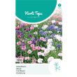 Gemengde Korenbloem bloemzaden