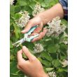 Bloemen knippen