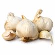 Knoflook Sabadrome