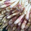 Asperges van de aspergeklauwen van moestuinenbloem.nl