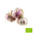 Biologische plantknoflook