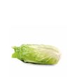 Groenlof