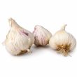 Messidrome knoflook