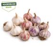 9 bollen plantknoflook in een voordelige mix.