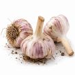 3 bollen hardneck knoflook Precosem