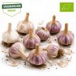 Beeld