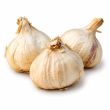 Plantknoflook Rustisem