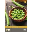 Zaden Erwt Kelvedon wonder