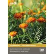 Afrikaan zaden Nematode control (aaltjes)
