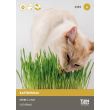 Kattengras zaden