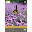 Verbena zaden Tuin de Bruijn