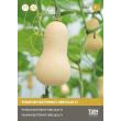 Pompoen Butternut zaden 