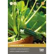 Potcourgette zaden