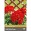 Rode geranium zaden