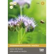 Groenbemester zaden phacelia