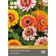 Zinnia Carrousel mix zaden van Tuin de Bruijn