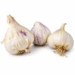 Thermidrome witte pittige knoflook