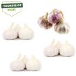 Voordelige plantknoflook mix