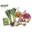 Zeer voordelige wintermix met wintergroenten en pootgoed van moestuinenbloem.nl