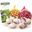 Wintermix - voordelige set met rode en gele plantui, groenbemester en witte en roze knoflook