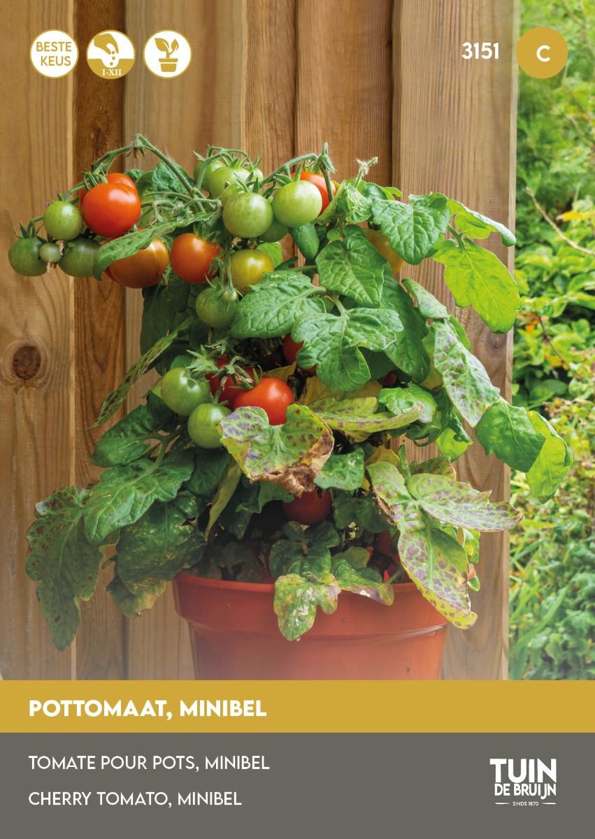 Tomaat - Pottomaat Minibel | Compacte Tomatenplant voor Balkon & Tuin