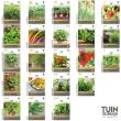 Tuin de Bruijn zaden